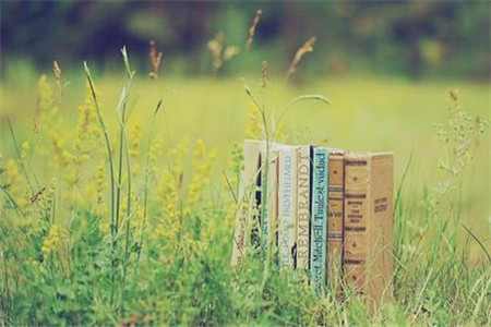 贵州自考复习备考:突破知识弱点