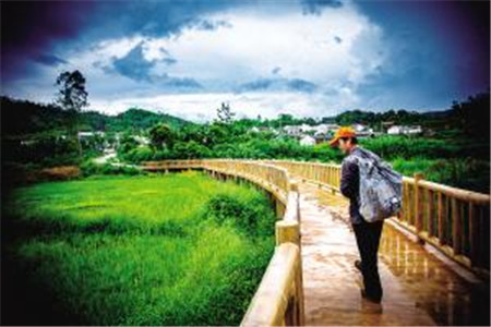 2020年贵州自学考试考生毕业论文申请流程