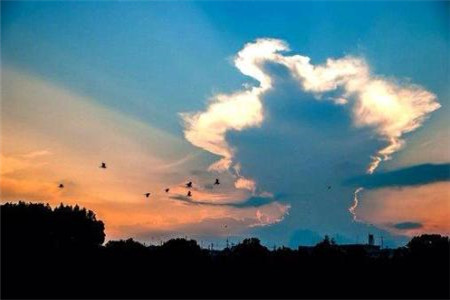 贵州自考生为什么在学信网查询不到自己的学历信息？