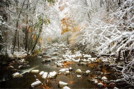 贵州自考本科学历含金量仅次于统招本科?