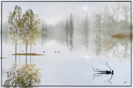 贵州自考生考研备考学习建议