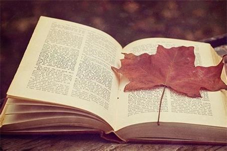 贵州自考如何区分专科、本科、独立本科段?