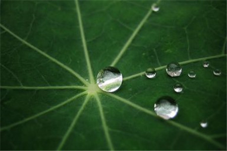 贵州自考什么情况下应该申请更正考籍?