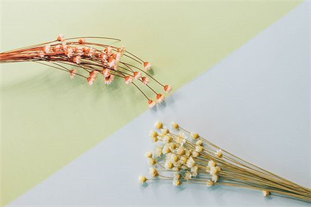 广东自考含金量
