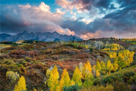 初中学历报考贵州自考合适吗？