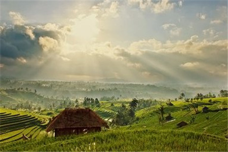 贵州自考学前教育专业答题技巧