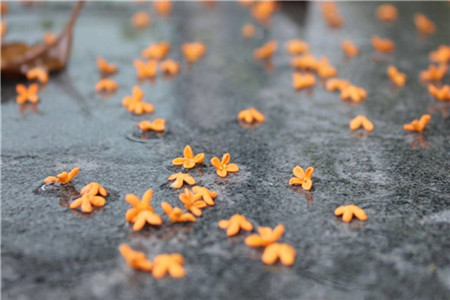 贵州自考包通过可信吗？