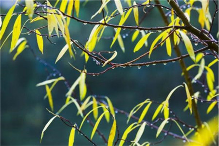 贵州自考的8个提分技巧