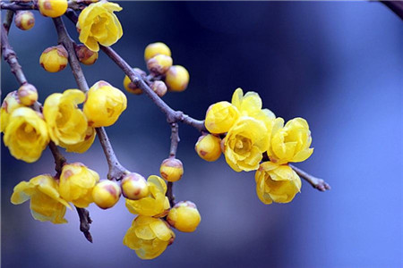 贵州自考考籍可以转吗？