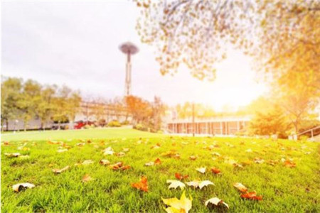 贵州自考高级英语复习方法