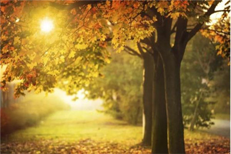 贵州自考高等数学学习方法