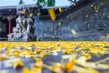 贵州自考的免考条件有哪些?