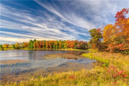 贵州自考学习方法推荐