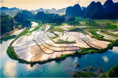 贵州自考本科通过率最高的专业有哪些？