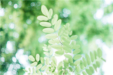 企业招聘承认贵州自考学历吗？