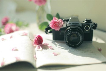 贵州自考专业课加考和转考是什么意思？