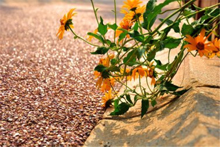 贵州自考备考五种学习方法