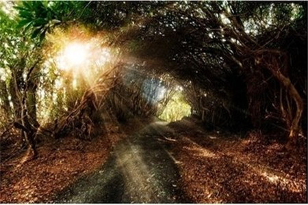 2020年如何利用贵州自考真题来把握考试方向?