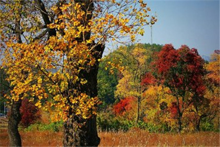 贵州自考本科有什么好处？