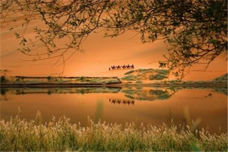 贵州自考生考籍档案转出外省能否转回