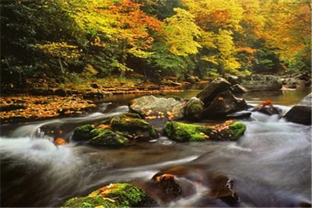 贵州自考英语二阅读理解的解题思路