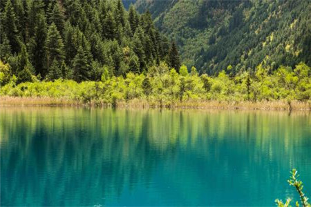 贵州自考公开课提分技巧