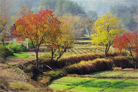 贵州自考有哪些实用的答题技巧？